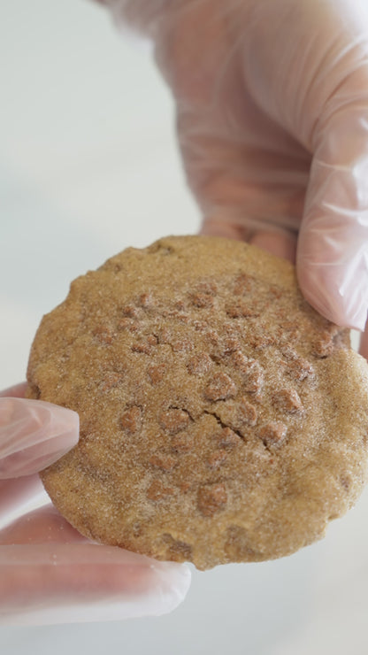 Snickerdoodle Regular Protein Cookie